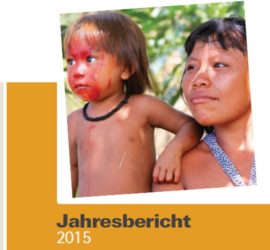 2015_ssf-jahresbericht