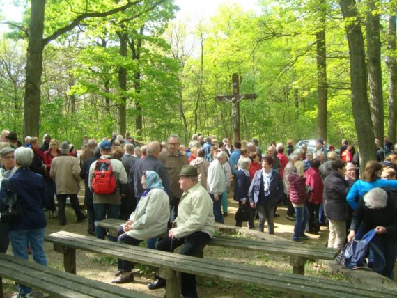27. Familienwallfahrt des Dekanates Hollabrunn nach Klein Maria – Dreieichen