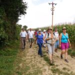Pilgerwanderung vom Goldenen Bründl zur Burg Kreuzenstein