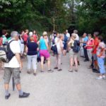 Pilgerwanderung vom Goldenen Bründl zur Burg Kreuzenstein